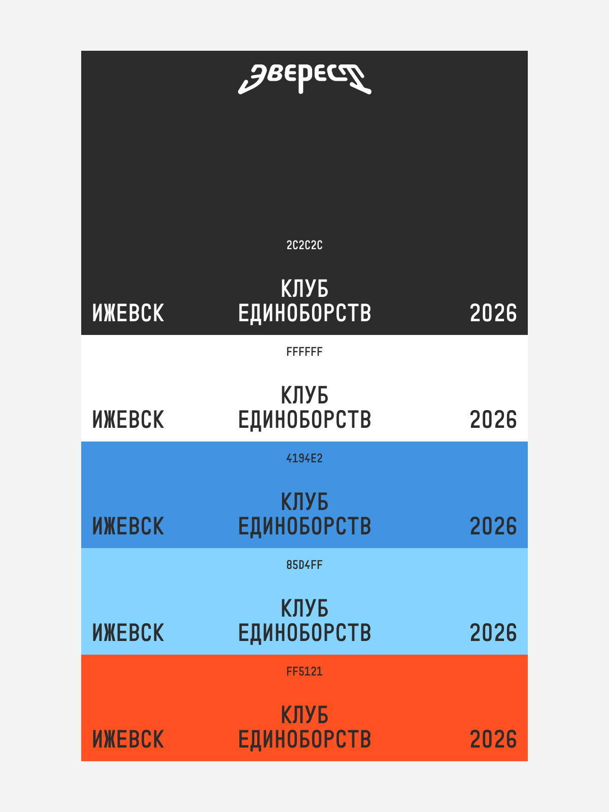 Palette of five colors with HEX values