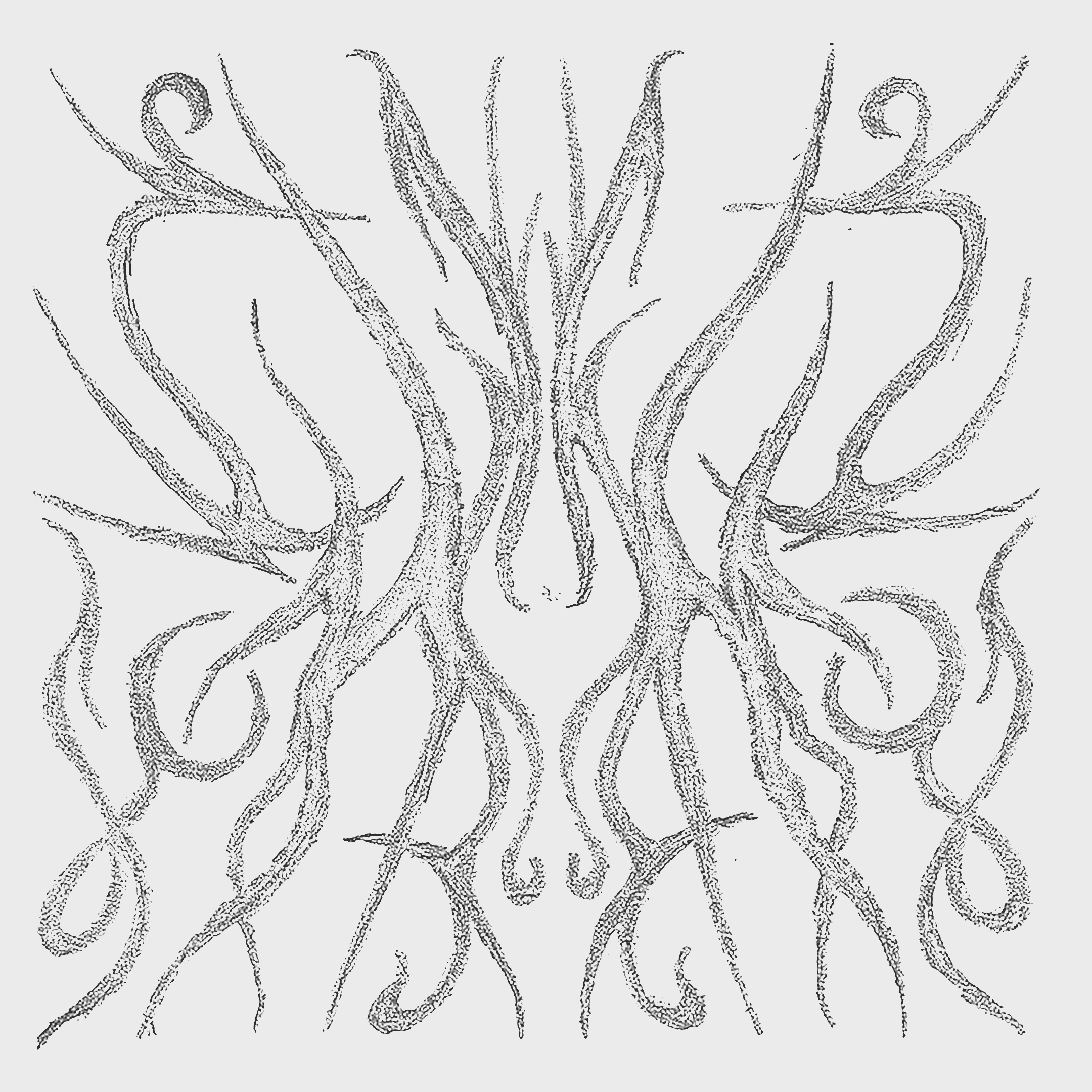 Mud drawing 31