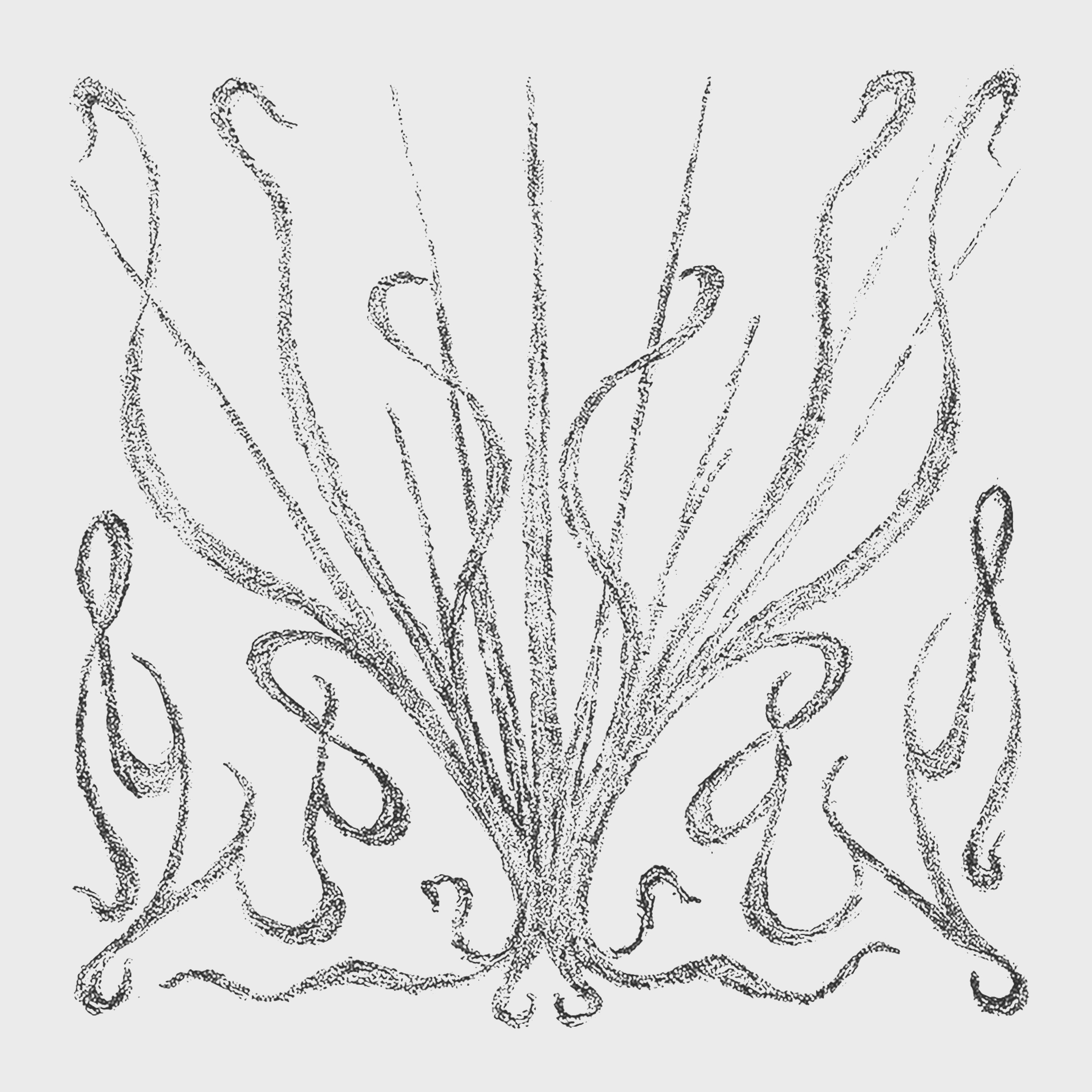 Mud drawing 32